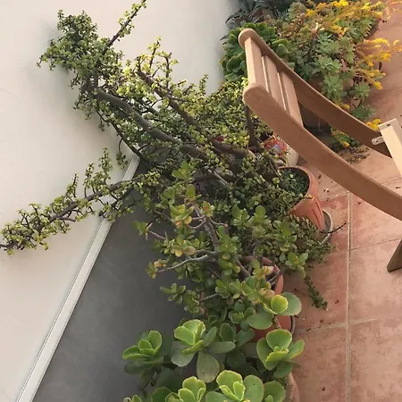 Characteristic Garibaldi Apartman