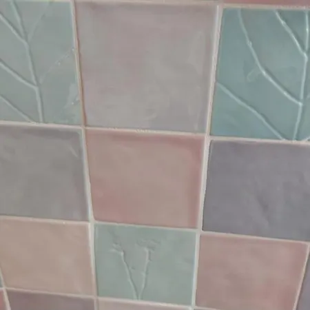 Characteristic Garibaldi Bari