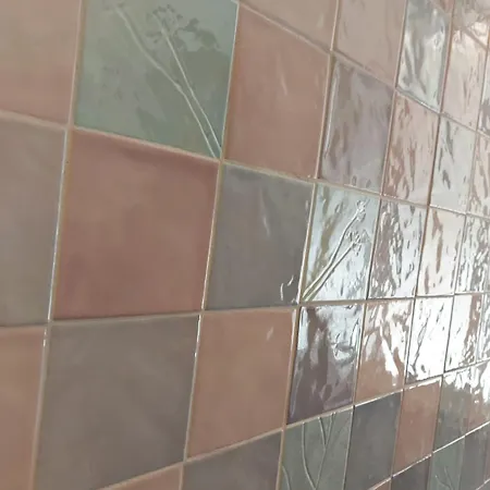 Characteristic Garibaldi * Bari