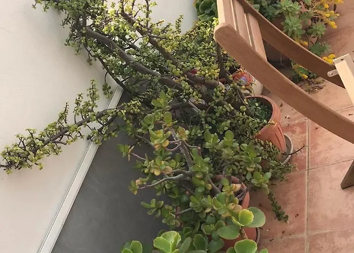 Characteristic Garibaldi Apartment